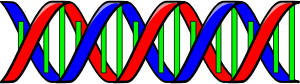 Anonymous-Double-Helix-DNA